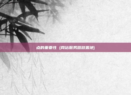 点的重要性 (网站服务器放置地)