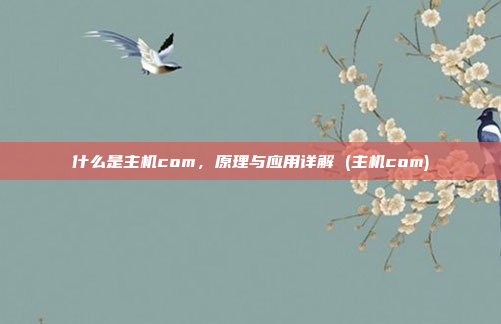 什么是主机com,原理与应用详解 (主机com)