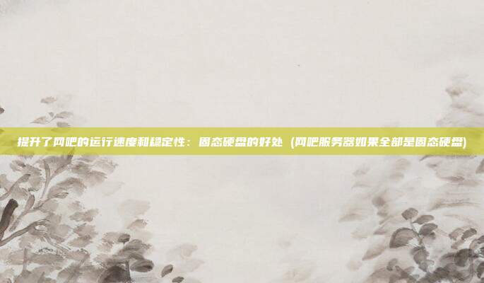 提升了网吧的运行速度和稳定性:固态硬盘的好处 (网吧服务器如果全部是固态硬盘)