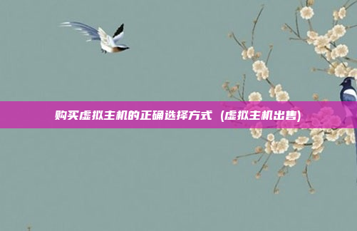 购买虚拟主机的正确选择方式 (虚拟主机出售)