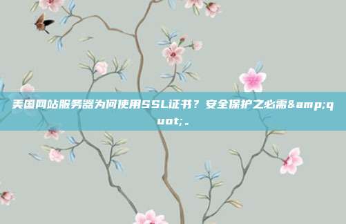 美国网站服务器为何使用SSL证书?安全保护之必需"。