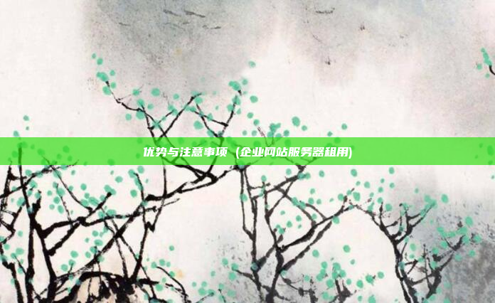 优势与注意事项 (企业网站服务器租用)