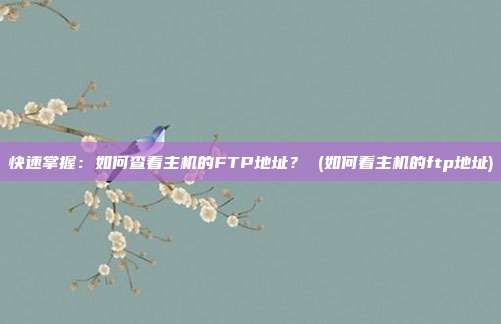 快速掌握:如何查看主机的FTP地址? (如何看主机的ftp地址)