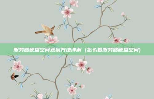 服务器硬盘空间观察方法详解 (怎么看服务器硬盘空间)