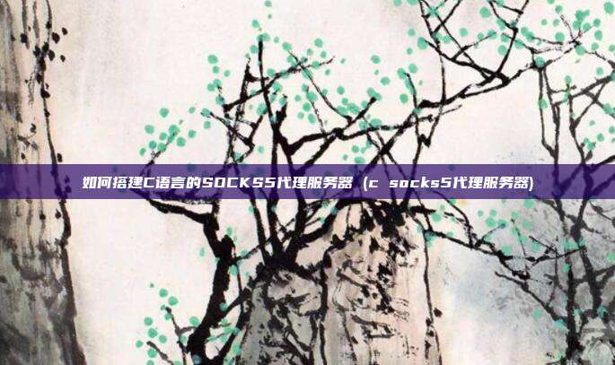 如何搭建C语言的SOCKS5代理服务器 (c socks5代理服务器)