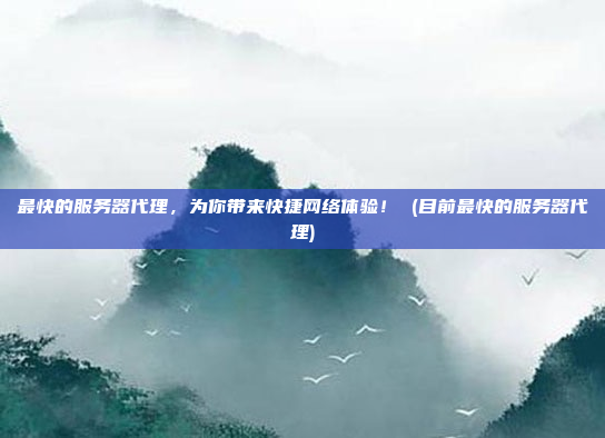 最快的服务器代理,为你带来快捷网络体验! (目前最快的服务器代理)