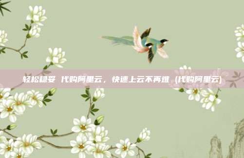 轻松稳妥 代购阿里云,快速上云不再难 (代购阿里云)