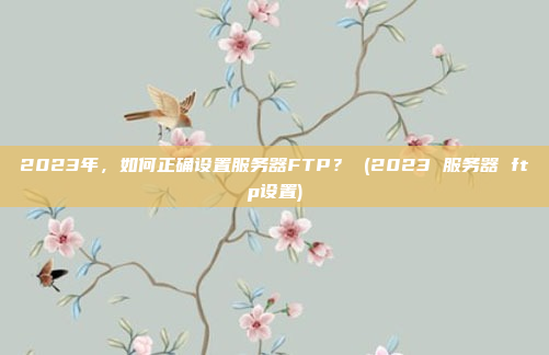 2023年,如何正确设置服务器FTP? (2023 服务器 ftp设置)