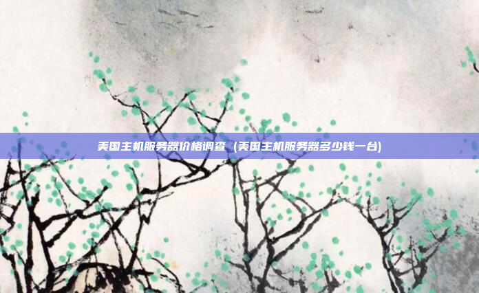 美国主机服务器价格调查 (美国主机服务器多少钱一台)