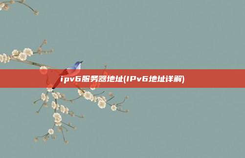 ipv6服务器地址(IPv6地址详解)