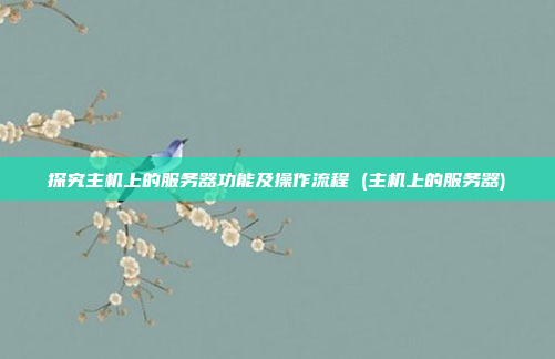 探究主机上的服务器功能及操作流程 (主机上的服务器)