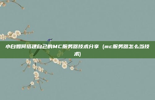 小白如何搭建自己的MC服务器技术分享 (mc服务器怎么当技术)