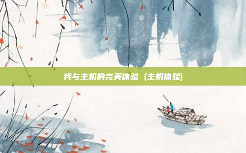 我与主机的完美体验 (主机体验)