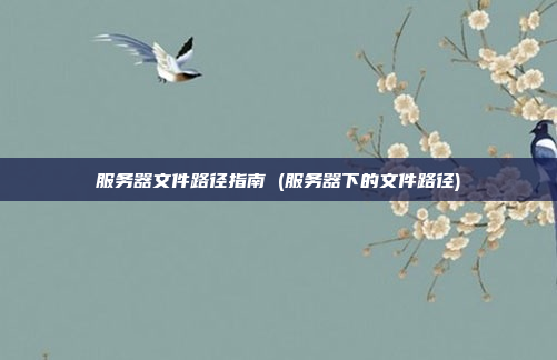 服务器文件路径指南 (服务器下的文件路径)