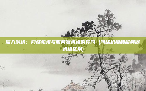 深入解析:网络机柜与服务器机柜的异同 (网络机柜和服务器机柜区别)