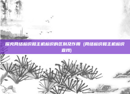 探究网络标识和主机标识的区别及作用 (网络标识和主机标识 查找)