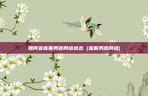 如何查看服务器网络状态 (查服务器网络)