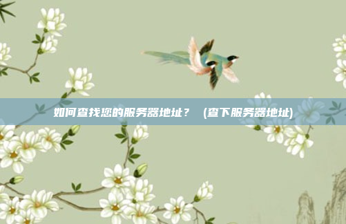 如何查找您的服务器地址? (查下服务器地址)
