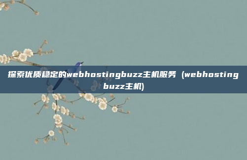 探索优质稳定的webhostingbuzz主机服务 (webhostingbuzz主机)