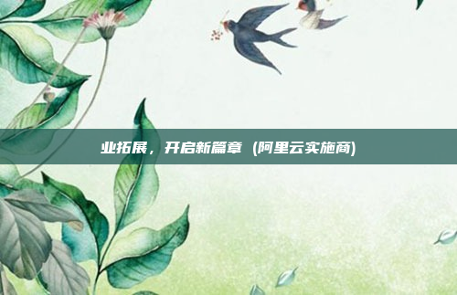 业拓展,开启新篇章 (阿里云实施商)