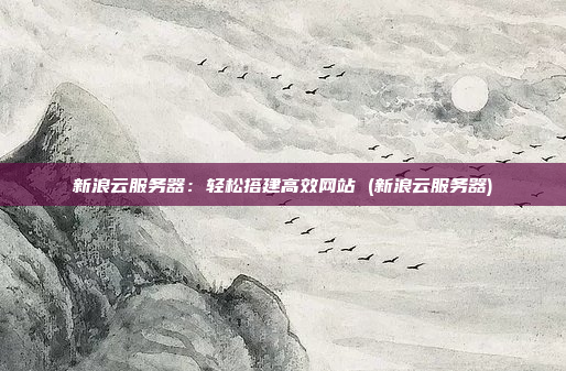 新浪云服务器:轻松搭建高效网站 (新浪云服务器)