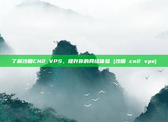 了解沙田CN2 VPS,提升你的网络体验 (沙田 cn2 vps)