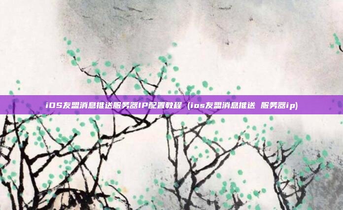 iOS友盟消息推送服务器IP配置教程 (ios友盟消息推送 服务器ip)