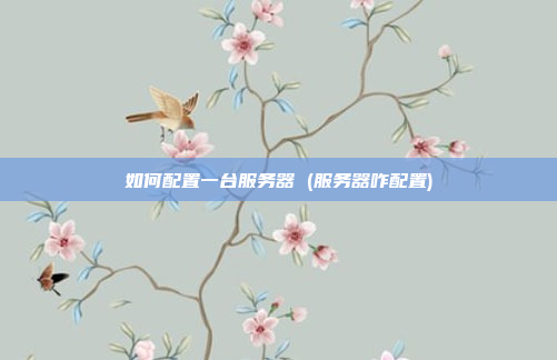 如何配置一台服务器 (服务器咋配置)