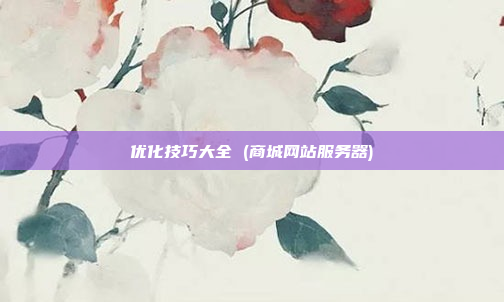 优化技巧大全 (商城网站服务器)