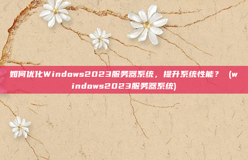 如何优化Windows2023服务器系统,提升系统性能? (windows2023服务器系统)