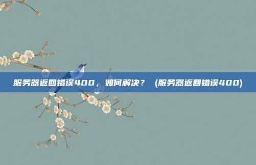 服务器返回错误400,如何解决? (服务器返回错误400)