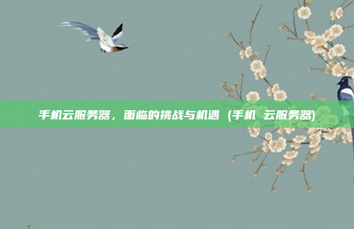 手机云服务器,面临的挑战与机遇 (手机 云服务器)