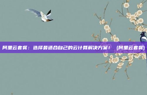 阿里云套餐：选择最适合自己的云计算解决方案！ (阿里云套餐)