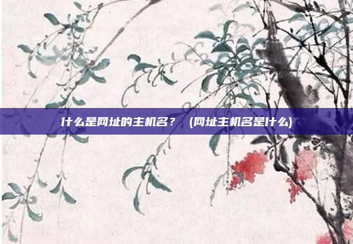 什么是网址的主机名? (网址主机名是什么)