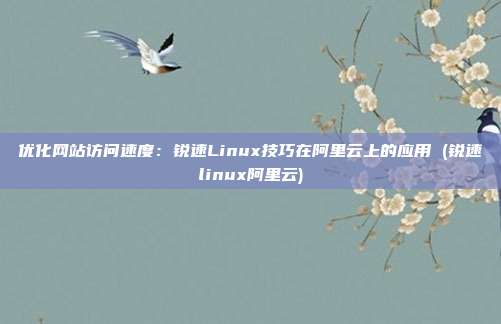 优化网站访问速度:锐速Linux技巧在阿里云上的应用 (锐速linux阿里云)