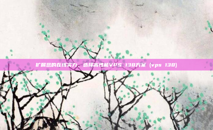 扩展您的在线实力,选择高性能VPS 138方案 (vps 138)
