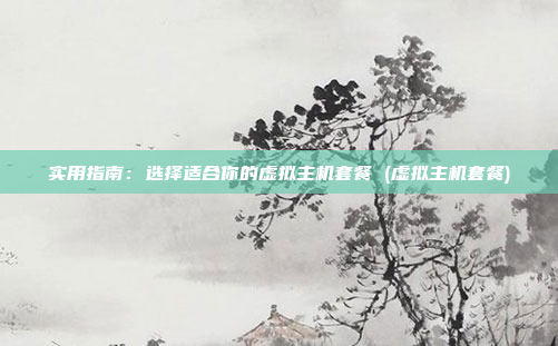 实用指南：选择适合你的虚拟主机套餐 (虚拟主机套餐)