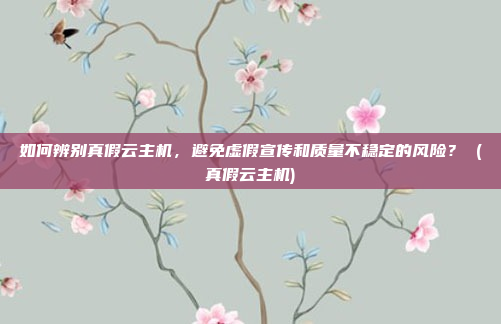 如何辨别真假云主机,避免虚假宣传和质量不稳定的风险? (真假云主机)