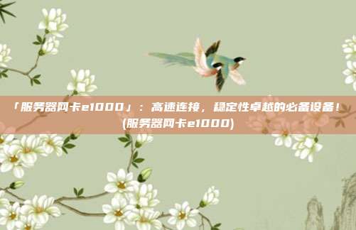 「服务器网卡e1000」:高速连接,稳定性卓越的必备设备! (服务器网卡e1000)