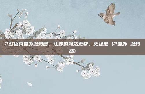2款优秀国外服务器,让你的网站更快、更稳定 (2国外 服务器)