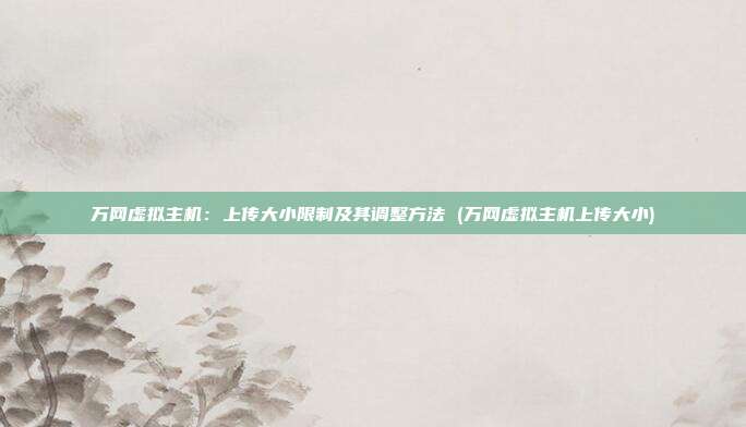 万网虚拟主机:上传大小限制及其调整方法 (万网虚拟主机上传大小)