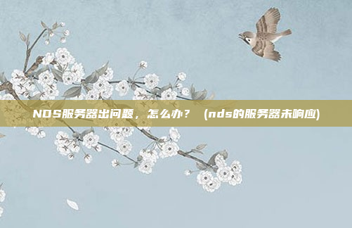 NDS服务器出问题,怎么办? (nds的服务器未响应)