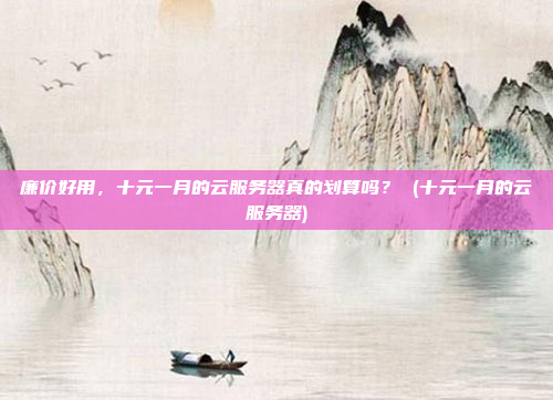 廉价好用,十元一月的云服务器真的划算吗? (十元一月的云服务器)
