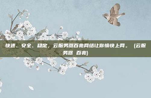 快速、安全、稳定,云服务器百兆网络让你愉快上网。 (云服务器 百兆)