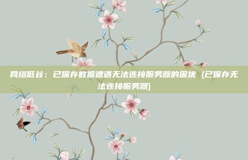 网络低谷:已保存数据遭遇无法连接服务器的困扰 (已保存无法连接服务器)