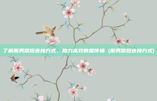了解服务器短连接方式,助力高效数据传输 (服务器短连接方式)