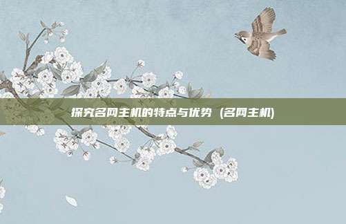 探究名网主机的特点与优势 (名网主机)