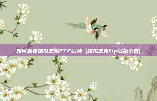 如何查看虚拟主机FTP名称 (虚拟主机ftp名怎么看)