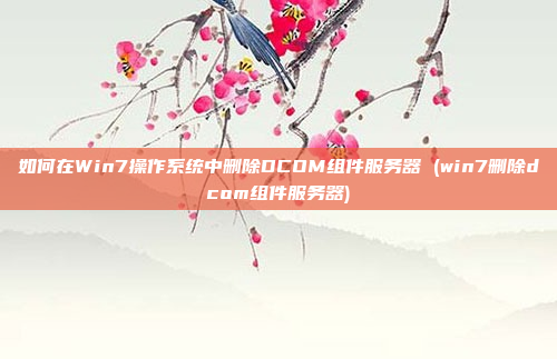 如何在Win7操作系统中删除DCOM组件服务器 (win7删除dcom组件服务器)