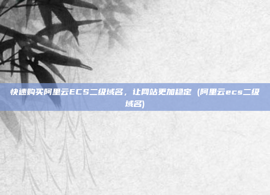 快速购买阿里云ECS二级域名,让网站更加稳定 (阿里云ecs二级域名)
